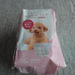 わんちゃんのオムツの画像