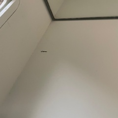 コレクションケース 背面鏡の画像