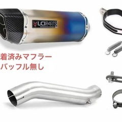 CBR250R MC41 後期型　レプソルの画像
