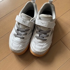ミズノ 室内用シューズ 18㎝の画像