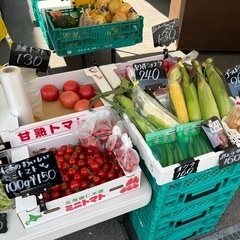 本日も特売🉐長ネギが1玉¥100✨の画像