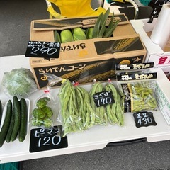 本日も特売🉐長ネギが1玉¥100✨の画像
