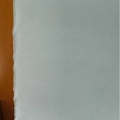 【12/8月迄の出品 】ロールスクリーン(プルコード式) 薄いブルー　165 x 240cmの画像