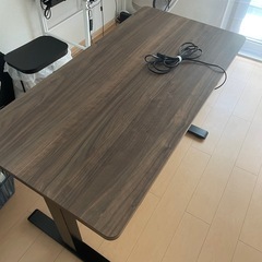FLEXISPOT 電動式昇降デスクEC1+天板(gray wood)の画像