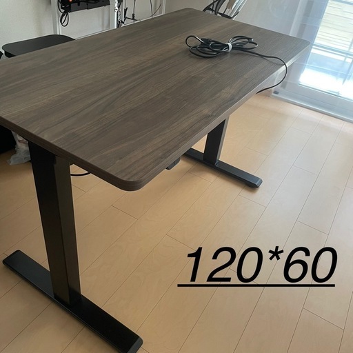 FLEXISPOT 電動式昇降デスクEC1+天板(gray wood)