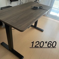 FLEXISPOT 電動式昇降デスクEC1+天板(gray wood)
