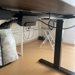 FLEXISPOT 電動式昇降デスクEC1+天板(gray wood)の画像