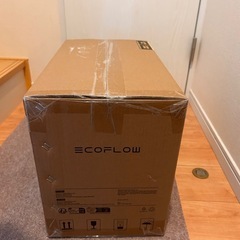 デルタ2  エコフロー
の画像