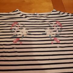 シャツ　レディースの画像