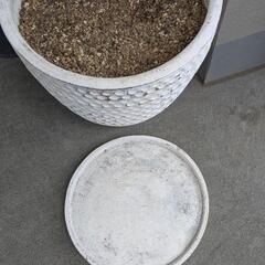 大型プランター🌳の画像