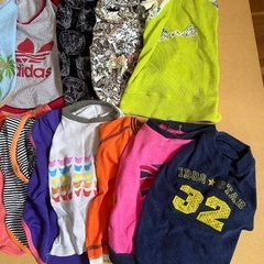 【無料】犬の服20枚5〜7kg小型犬用の画像