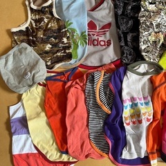【無料】犬の服20枚5〜7kg小型犬用の画像