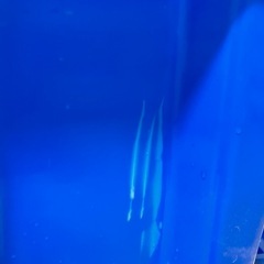 IKEA収納ケース5個セットあげますの画像