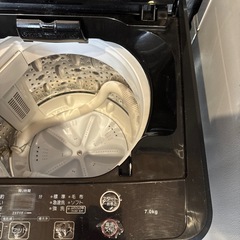 MAXZEN 全自動洗濯機 7.0kg 2023年製【使用1年未満・美品】の画像