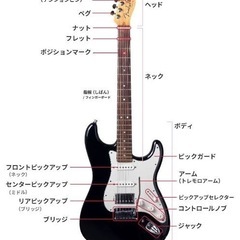 音楽レッスンしてます❗️の画像