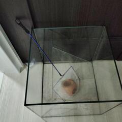 正方形　水槽の画像