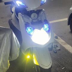 シグナス二型 国内極上車 限定値下げの画像