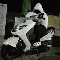 シグナス二型 国内極上車 限定値下げの画像