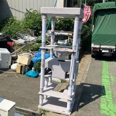 ＢＩＧ キャトタワー STADIUM 約2mの画像