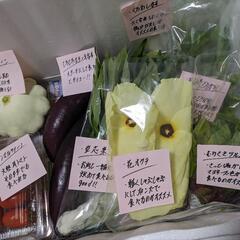 採れたて野菜セット(栽培期間中農薬.化学肥料不使用)の画像