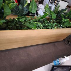 グリーンパーテーション　パーティション　観葉植物 間仕切り プランター　ボックスの画像
