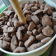 フェイク　観葉植物の画像