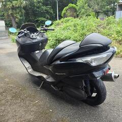 フォルツァ250 MF08 自賠責令和9年9月末まで　不動車　千葉県　配達可能！の画像