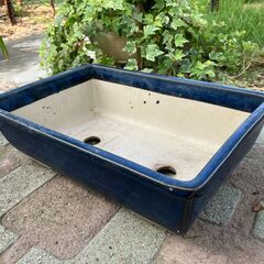 92：★値下しました★盆栽鉢　盆器　盆栽用　鉢　青　長方形　陶器製　園芸　ガーデニングの画像