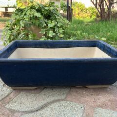 92：★値下しました★盆栽鉢　盆器　盆栽用　鉢　青　長方形　陶器製　園芸　ガーデニングの画像