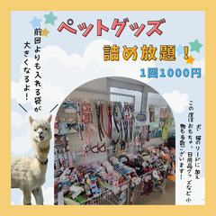 犬・猫グッズ詰め放題！(新品・未使用)