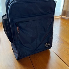 リュック式キャリーバッグの画像