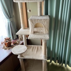 キャットタワー