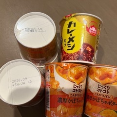 カレーメシ、じっくりコトコトの画像