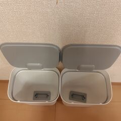Curver ダストボックス ホワイト 30L2個 10L2個 おまけ1個 8/9-10引渡の画像