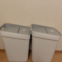 Curver ダストボックス ホワイト 30L2個 10L2個 おまけ1個 8/9-10引渡の画像