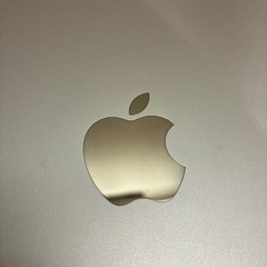 iPad Air2 Wi-Fi cellularモデル 64GBゴールドの画像