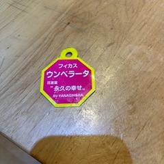ウンベラータの画像