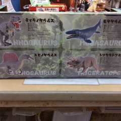 ★ 新品 恐竜 ティラノサウルス T.Rex の画像