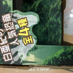 ★ 新品 恐竜 ティラノサウルス T.Rex の画像