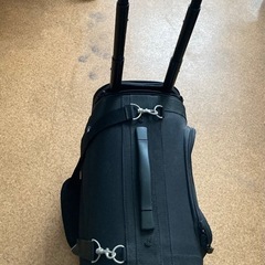 ペットキャリーNew Mサイズの画像