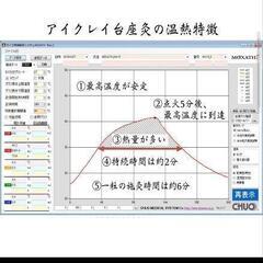 アイクレイ台座灸 1000粒の画像
