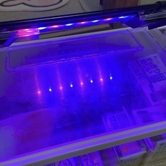 水槽　2個セット　他飼育小物品いろいろの画像