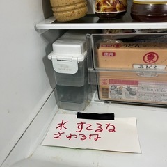 観葉植物の画像