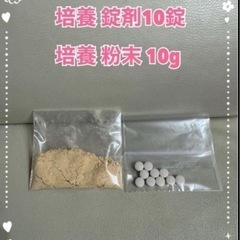 メダカ飼育 針子飼育     必要不可欠、ゾウリムシの画像