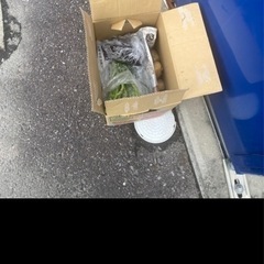 無料野菜の画像