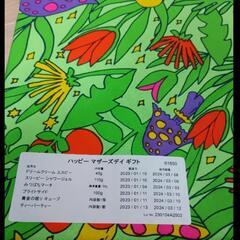 ラッシュギフト　未使用品の画像
