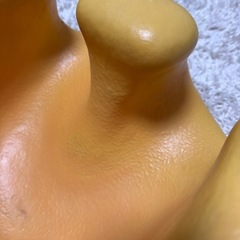バンボの画像