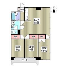 YY🍅初月賃料なし😲敷金、礼金、仲介手数料ゼロ✨広々75㎡超え3...