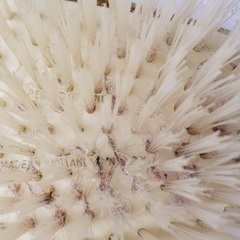 イギリス ヴィンテージ ヘアブラシ プチポワン ビクトリアスタイルの画像