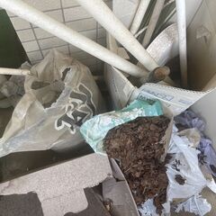 🌿園芸セット一式（土・支柱・自动潅水）無料・先着順！の画像